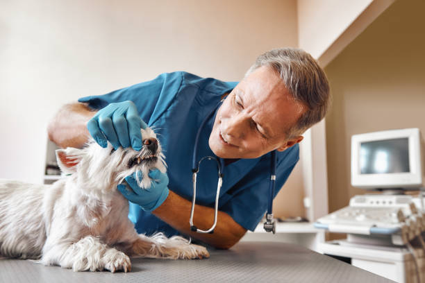 Best Emergency Root Canal Treatment in Spring Lake, NJ